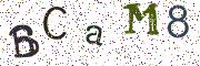 Vaizdinė CAPTCHA užduotis