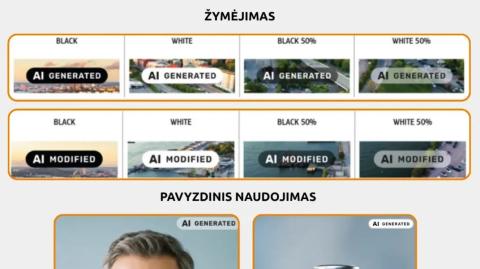 DI turinio žymėjimo reikalavimai